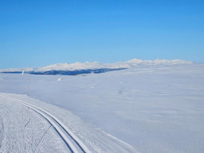 Utsikten
